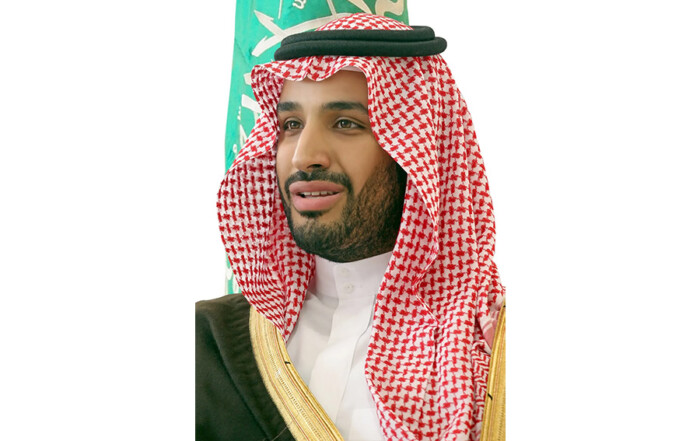 الأمير محمد بن سلمان ولي ولي العهد