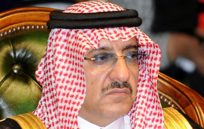 الأمير محمد بن نايف ولي العهد